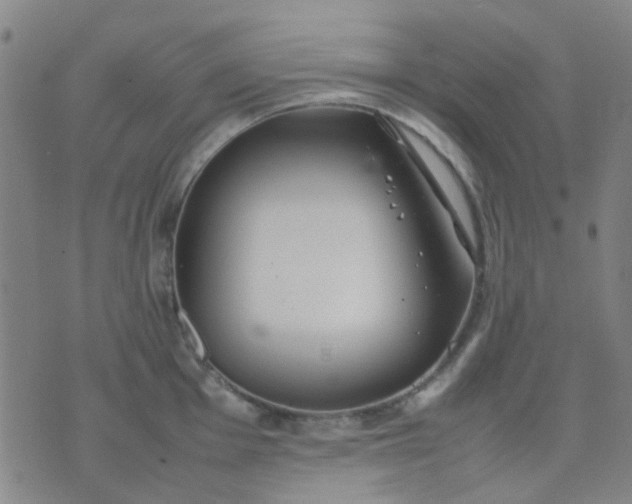 X0000074311001200609081937