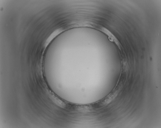 X0000074311002200609081937