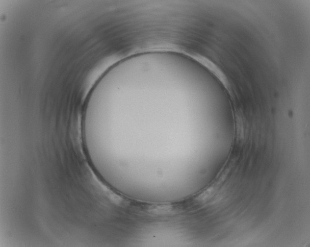 X0000074311006200609081937