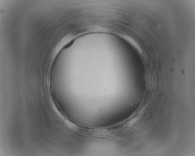 X0000074311007200609081937