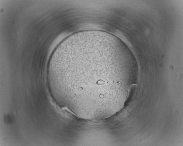 X0000074311008200609081937