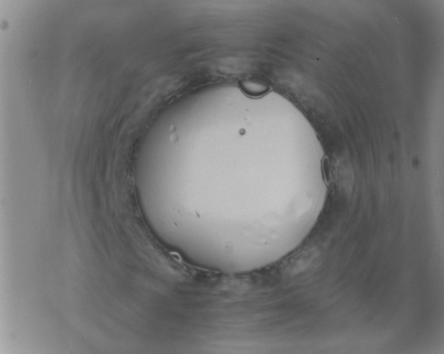 X0000074311009200609081937