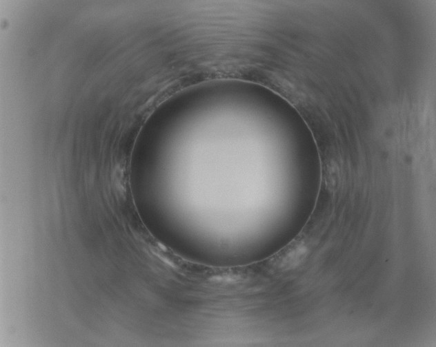 X0000074311010200609081937