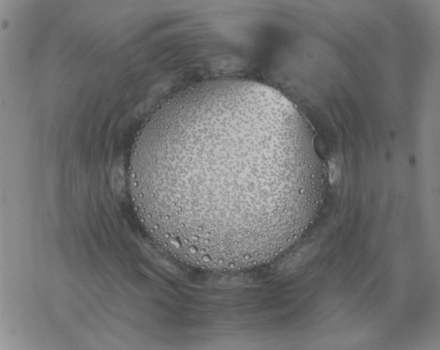 X0000074311011200609081937