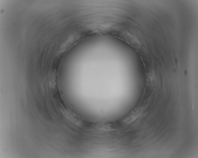 X0000074311012200609081937