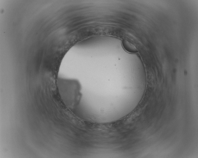 X0000074311013200609081937