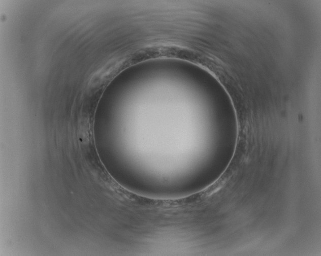 X0000074311014200609081937