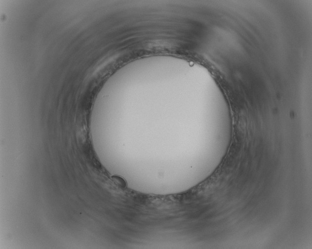 X0000074311015200609081937