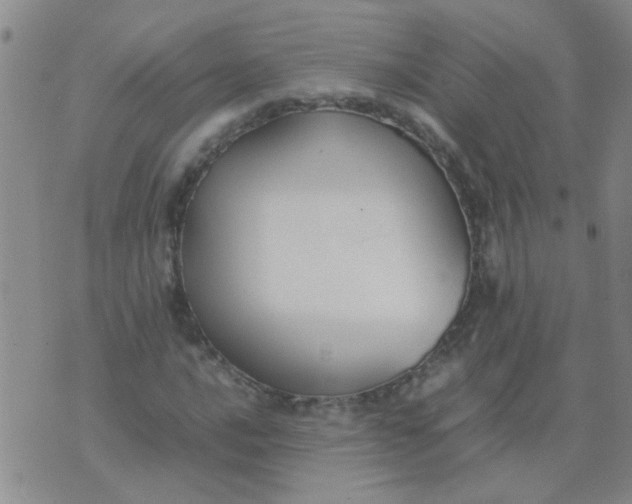 X0000074311016200609081937