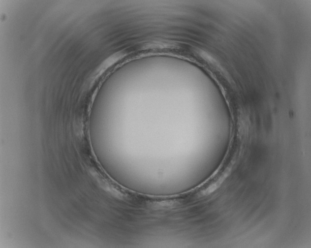 X0000074311017200609081937