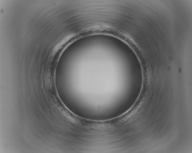 X0000074311018200609081937