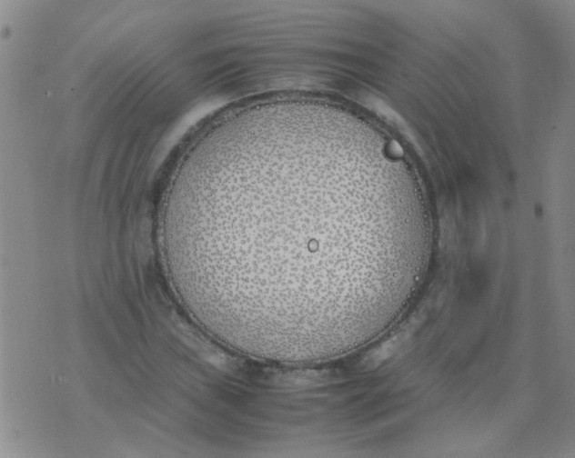 X0000074311019200609081937