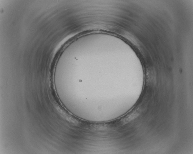 X0000074311020200609081937