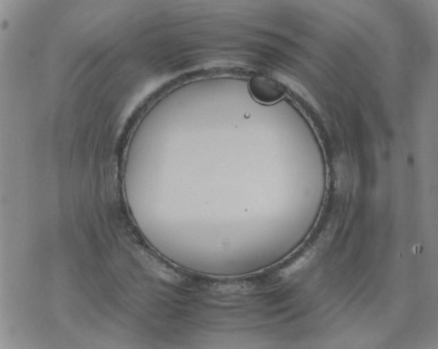 X0000074311021200609081937