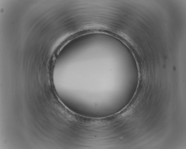 X0000074311022200609081937