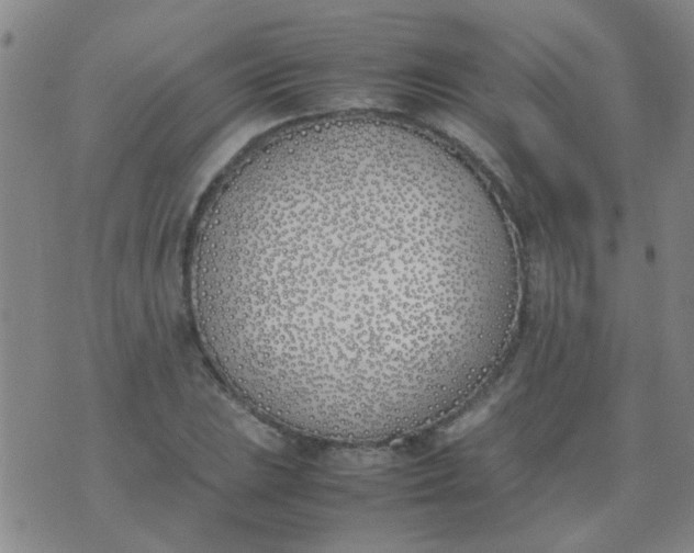 X0000074311023200609081937