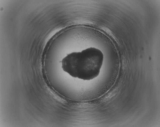 X0000074311024200609081937