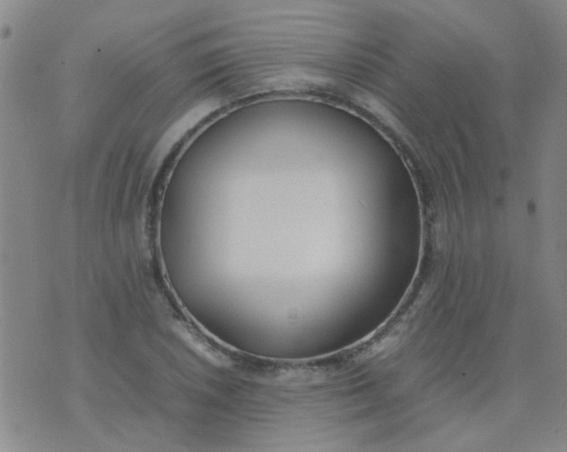 X0000074311026200609081937