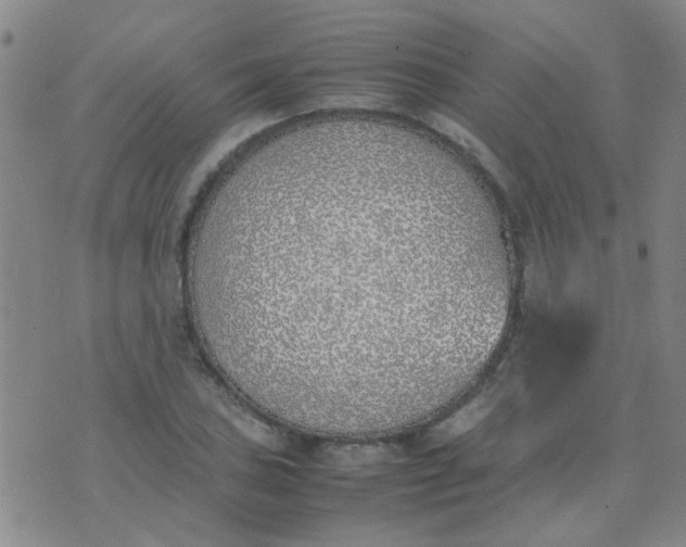 X0000074311027200609081937