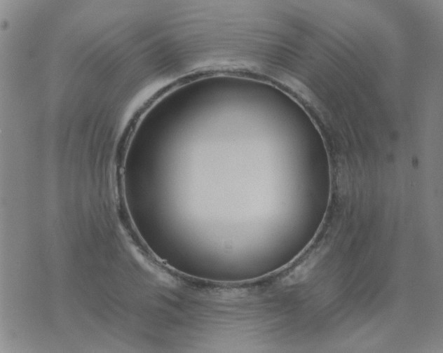 X0000074311030200609081937