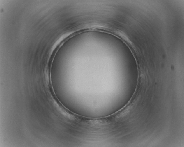 X0000074311032200609081937