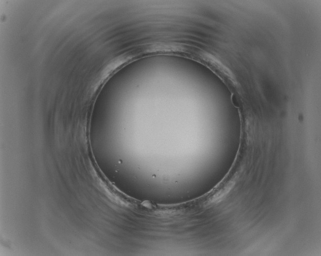 X0000074311033200609081937