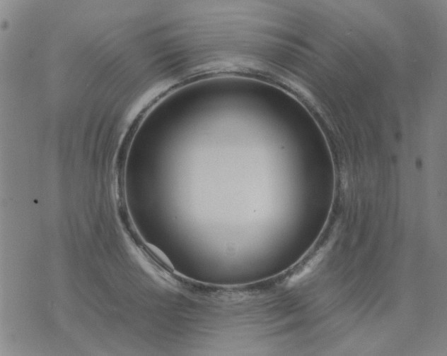 X0000074311034200609081937