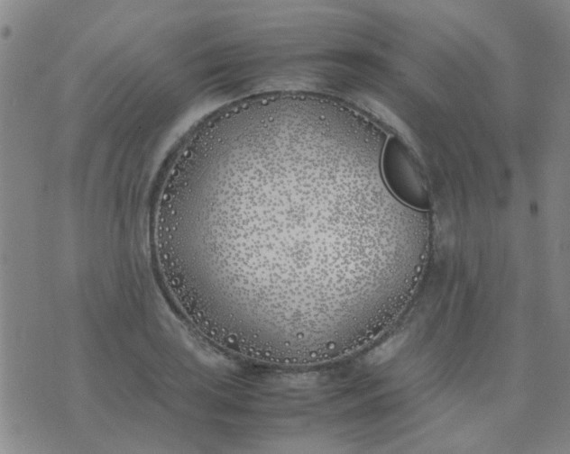 X0000074311035200609081937