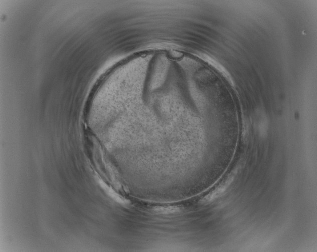 X0000074311037200609081937