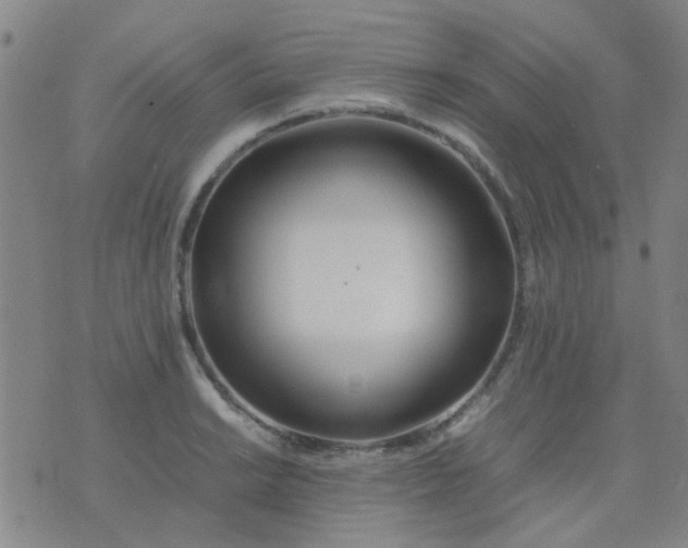 X0000074311038200609081937