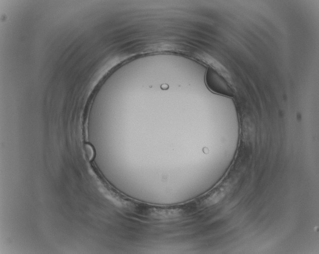 X0000074311039200609081937