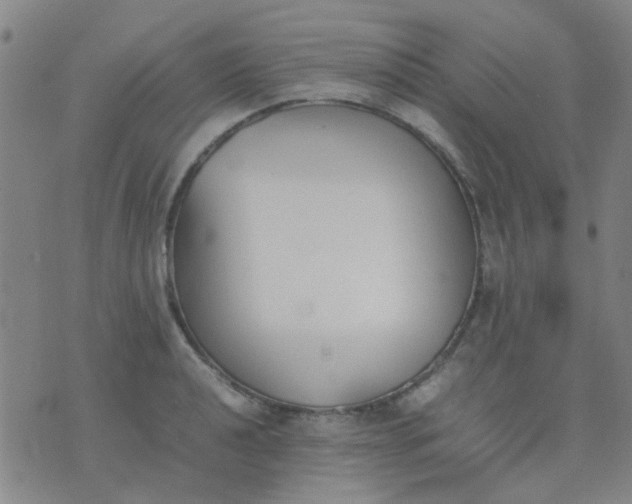 X0000074311040200609081937