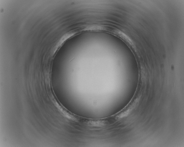 X0000074311041200609081937