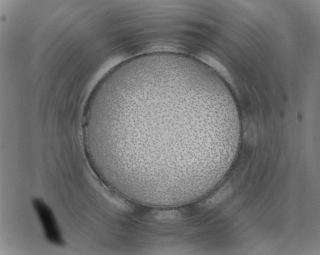 X0000074311043200609081937