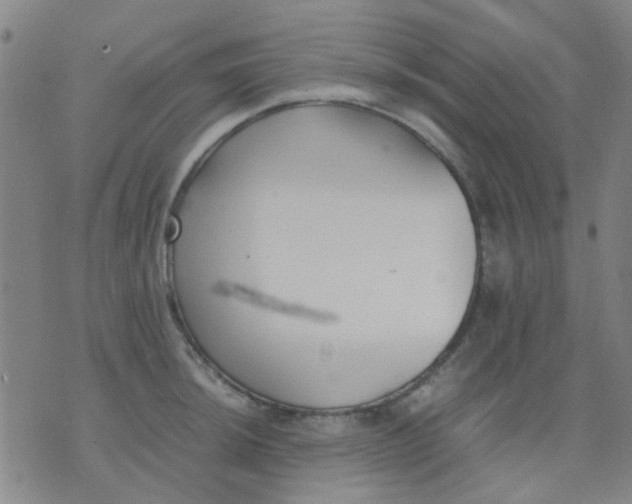 X0000074311044200609081937