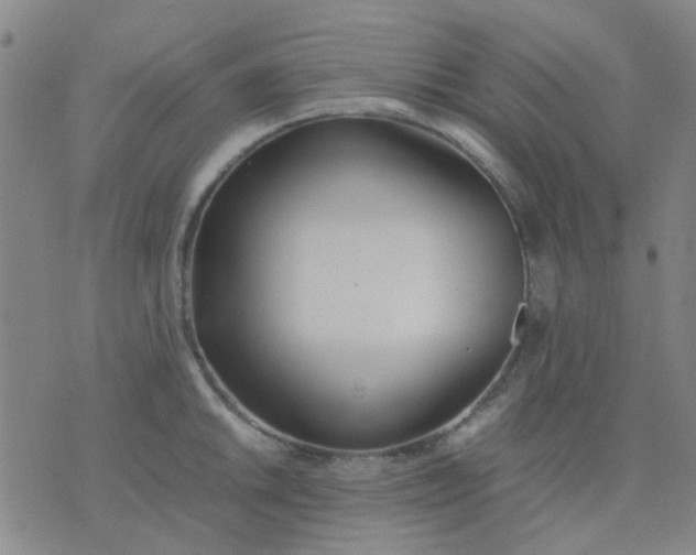 X0000074311046200609081937