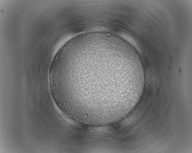 X0000074311047200609081937