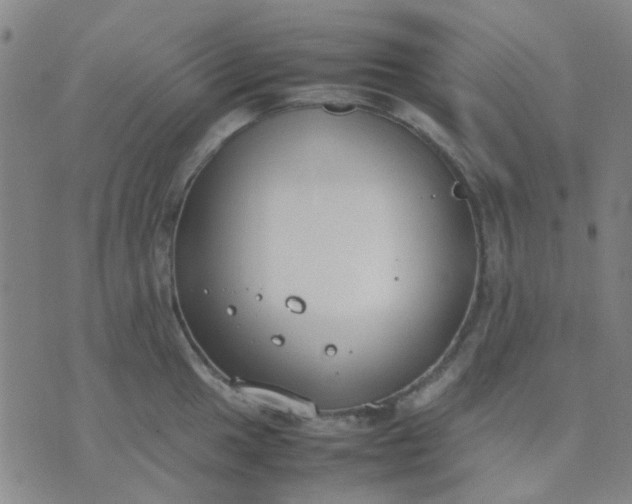 X0000074311049200609081937