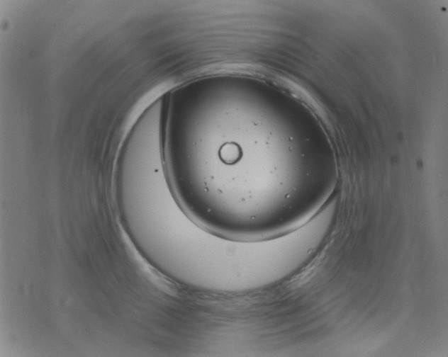 X0000074311050200609081937