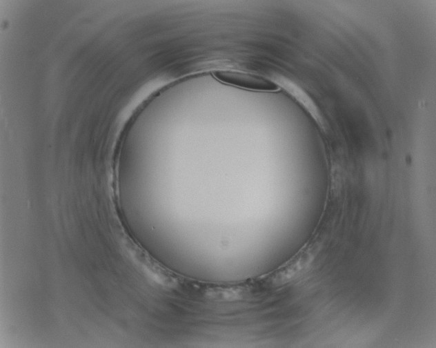 X0000074311051200609081937