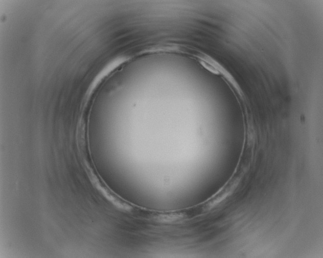 X0000074311053200609081937