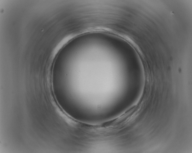 X0000074311054200609081937