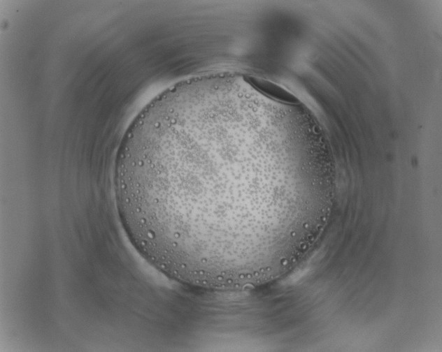 X0000074311055200609081937