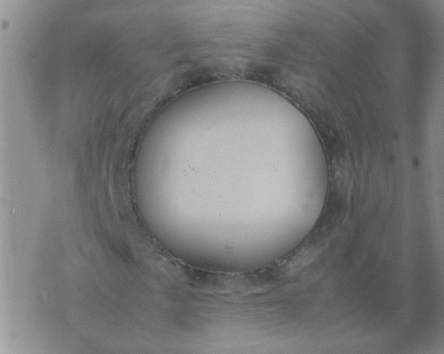 X0000074311057200609081936