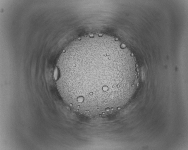 X0000074311059200609081936