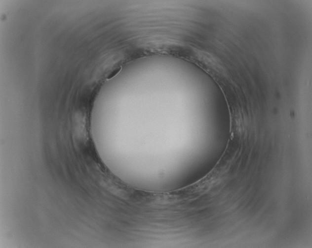 X0000074311060200609081936