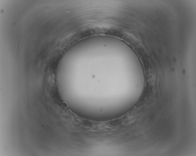 X0000074311061200609081936