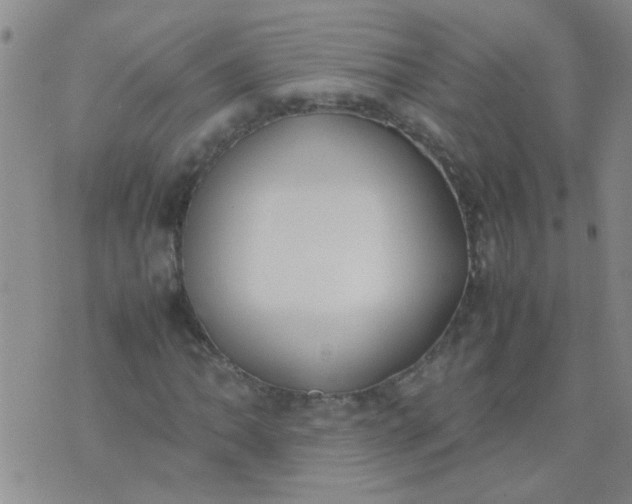 X0000074311062200609081936