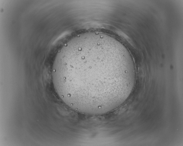 X0000074311063200609081936