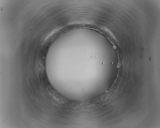 X0000074311064200609081936